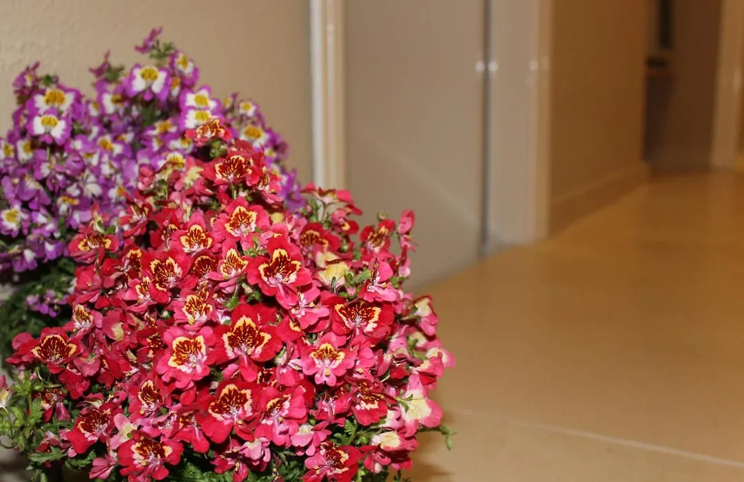 Harmony Rooms-1